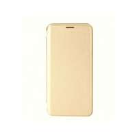 Cleanskin Elegant Mag Latch Flip Wallet Case For iPhone XS max - Gold