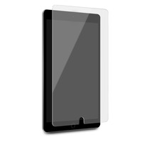Cleanskin Tempered Glass Screen Guard - For iPad 10.2"